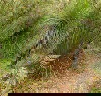 Grass Tree Circuit - Hotel WA