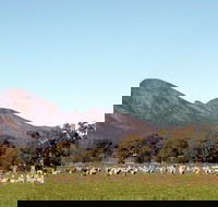 Grampians - Hotel WA