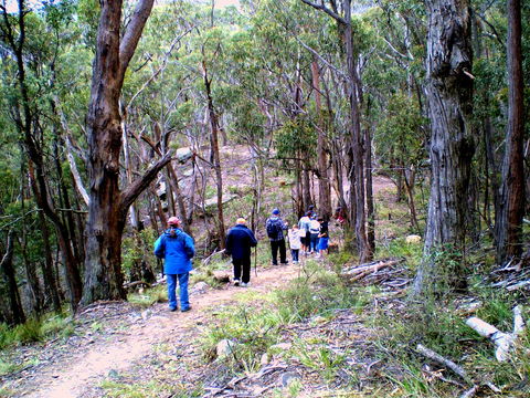 Greater Blue Mountains Heritage Trail - Hotel WA 2