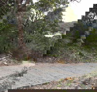 Great North Walk  Ku-ring-gai Chase National Park - Hotel WA