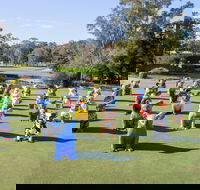 Hello Koalas Sculpture Trail - Hotel WA