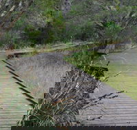 Leschenault Peninsula Conservation Park - Hotel WA