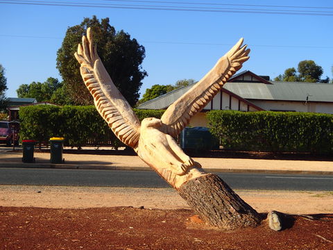Loxton Tree Sculptures - Hotel WA 0