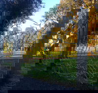 Mansfield Botanic Park - Hotel WA