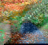 Mount Wilson and Mount Irvine - Hotel WA