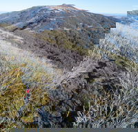 Mt Buller Bike Park - Hotel WA