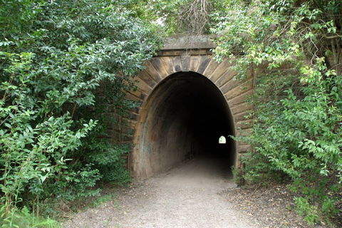 Mushroom Tunnel - Hotel WA 0