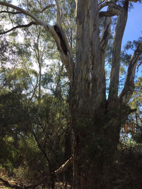 Northern Beaches - Hotel WA 0