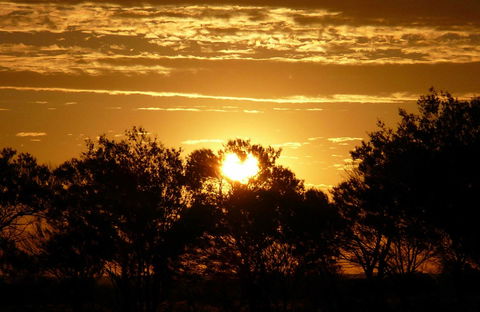 Paroo-Darling National Park - Hotel WA 0