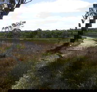 Penola Conservation Park - Hotel WA