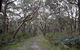Pink Line And Loop Trail - Mountain Biking - thumb 0