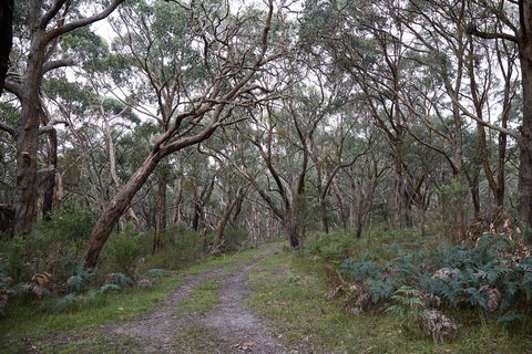 Pink Line And Loop Trail - Mountain Biking - Hotel WA 0