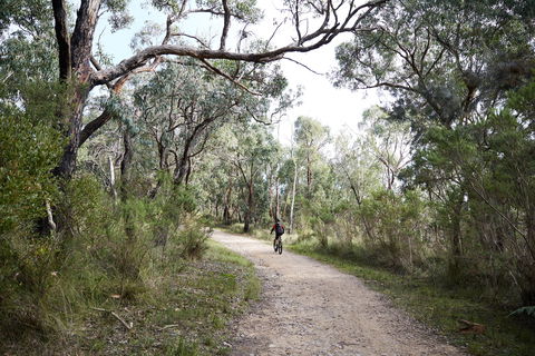 Pink Line And Loop Trail - Mountain Biking - Hotel WA 1