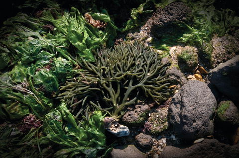 Point Cook Marine Sanctuary - Hotel WA 2