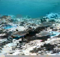 Purdy Point - Hotel WA