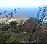 Strzelecki Peaks Great Short Walk - Hotel WA