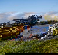 Tourist Drive 28 - Hinterland - Hotel WA