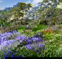 Wittunga Botanic Garden - Hotel WA