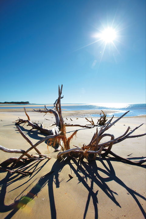Woodgate Beach Park And Playground - Hotel WA 1