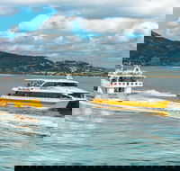 Apex Camps Magnetic Island Group Accommodation Activities and Events - Hotel WA