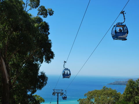 Arthurs Seat Eagle - Hotel WA 0