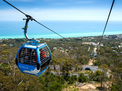 Arthurs Seat Eagle - Hotel WA 1