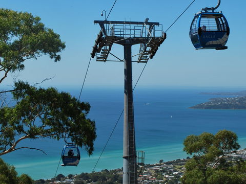 Arthurs Seat Eagle - Hotel WA 2