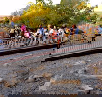 Australian Age of Dinosaurs - Hotel WA