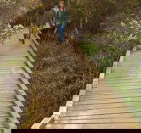 Balcombe Creek Estuary Boardwalk - Hotel WA