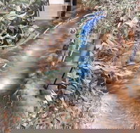 Barmah Forest Heritage and Education Centre - Nathalia - Hotel WA