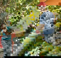 Broome Food and Heritage Trail - Hotel WA