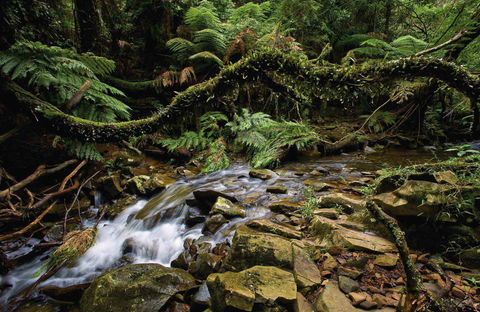 Budderoo National Park - Hotel WA 0