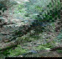 Corn Trail - Hotel WA