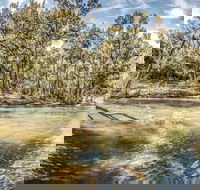 Flea Creek Picnic Area - Hotel WA