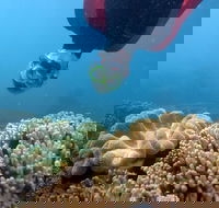 Geoffrey Bay Snorkel Trail - Hotel WA