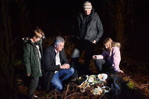 Ghost Mushroom Lane - Hotel WA 2