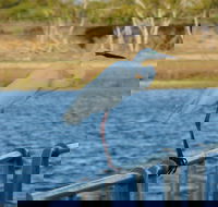 Groper Creek - Hotel WA