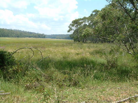Hume And Hovell Walking Track - Hotel WA 2