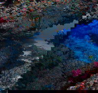 Hutchinson Shoal Dive Site - Hotel WA