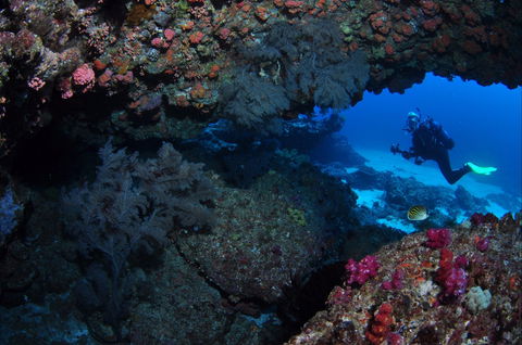 Hutchinson Shoal Dive Site - Hotel WA 0