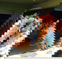 Iris Lodge Alpacas - Hotel WA