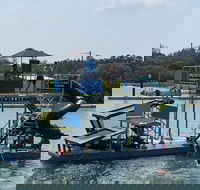 Jungle Float - Hotel WA