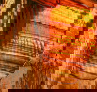 Junction Cave - Hotel WA