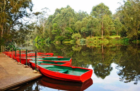 Lane Cove National Park - Hotel WA 0