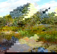 Mansfield Mullum Wetlands - Hotel WA