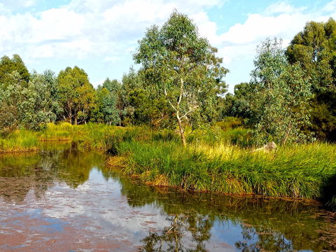 Mansfield Mullum Wetlands - Hotel WA 0