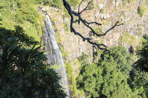 Morans Falls Track, Lamington National Park - Hotel WA 0