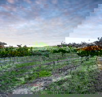 Nature and Foodies Trail - Hotel WA