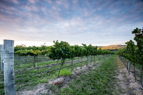 Nature And Foodies Trail - Hotel WA 0