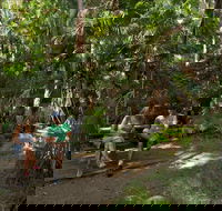 Palms picnic area - Hotel WA